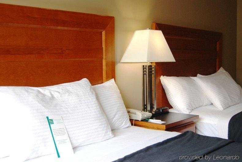 Quality Inn West Edmonton Oda fotoğraf