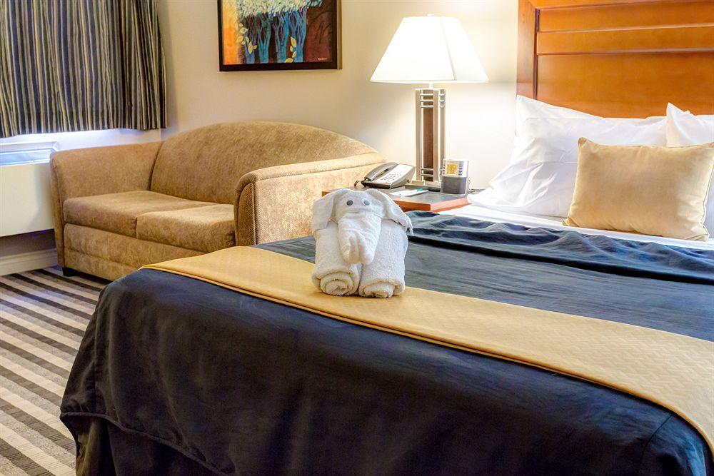 Quality Inn West Edmonton Dış mekan fotoğraf